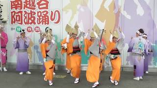 丸若連☆南越谷プレ阿波踊り2017