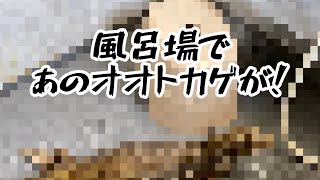 オオトカゲがお風呂場でまさかの！？