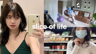 Slice of Life: Simple & Productive Week, Dying Hair, Grocery Shopping, New Camera, Cleaning, Trip