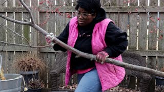 Backyard GARDEN  Cleanup // Garden Flowerpots 🌸🌷// GARDEN QUEEN