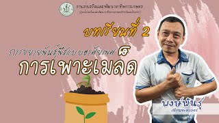 บทเรียนที่2