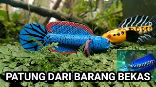 cara membuat patung ikan channa