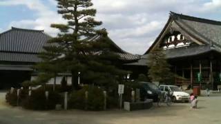 長浜　大通寺