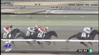 20250112 競馬ﾚｰｽﾄﾋﾟｯｸ　02【大差②】'25中1 4 4R D1800 3新馬 イムホテプ