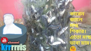 ফাঁস জালে মাছ ধরা/কারেন জালে মাছ শিকার/Fishing Video