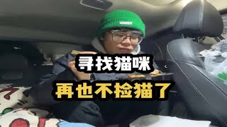 自驾路上捡的流浪猫疑似出去找老婆不回来了，感情被玩弄发誓再也不养猫了！ | Cat Left for Love: I'm Done!