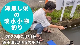 【海無し県の淡水小物釣り】新規開拓ならずいつもの場所で小物釣り　2022年7月31日　茨城県古河市から埼玉県越谷市