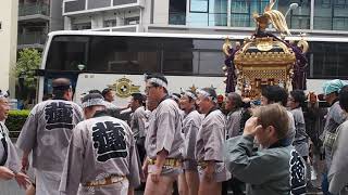 令和元年　お祭り散歩　蔵前　第六天榊神社　例大祭　蔵前中央町会　連合神輿渡御へ　2019.6.2 matsuri Mikoshi