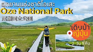 【เดินป่า】Hiking อุทยานแห่งชาติญี่ปุ่น \