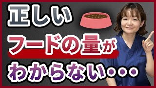 ダイエットフードだけじゃダメ！犬猫の正しいダイエット法を獣医師が解説