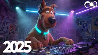 Top EDM Music Mix 2025 🎧 Bass Boosted & Future Bass Tracks 🎧 Popular Song Remixes