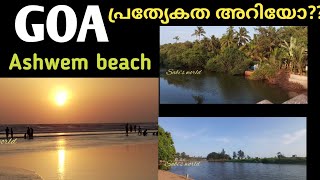 Goa ashwem beach കാണാം... കടലിലൂടെ നടന്നു പോകാം... #goa #vlogs #beach #youtuber #sabi'sworld