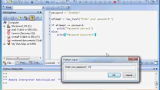 Tutorial 7 - IF statement (password)