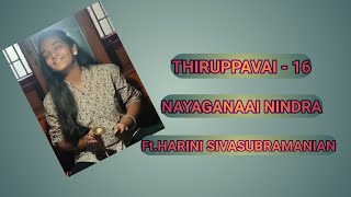 THIRUPPAVAI - 16 / Nayaganaai nindra / #HariniSivasubramanian