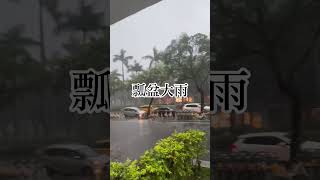 瓢盆大雨 #大雨#颱風#雨天