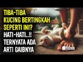 MERINDING..!! 7 BAHASA GAIB KUCING DALAM ISLAM