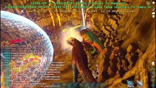 Meatrunning WW Tek Cave + Flyer PvP | Ark Official PS4 PvP