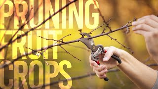 Pruning Fruit Crops