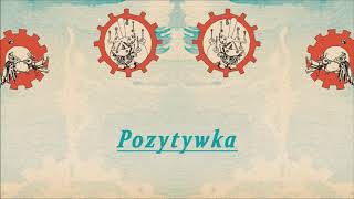 Joanna Włodarska - Pozytywka [Official Audio]