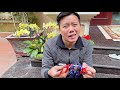 changcady review ô tô robot transformers optimus prime biến hình part 54