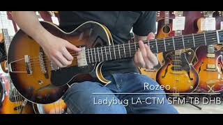 Rozeo Ladybug LA-CTM SFM-TB DHB     [LAST GUITAR]