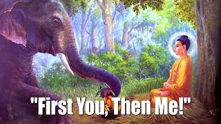 The Time When Buddha Was Reborn As An Elephant - a beautiful journey