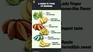 Types of Bannanas##🍌🍌 #song #folksong