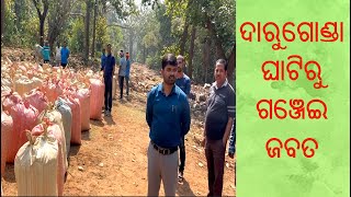 ଦାରୁଗୋଣ୍ଡା ଘାଟିରୁ ୧୦୮୫୨ କେଜି ଗଞ୍ଜେଇ ଜବତ/#nagrajnews