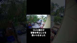 真実は・・・　#shorts #おすすめ #爆笑 #おもしろ動画 #ドッキリ #日常コメディ #笑える #面白い瞬間 #チャレンジ動画 #いたずら #瞬間