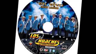 coyuca de catalan los huaches cd vip