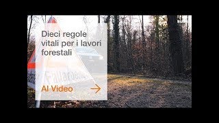 Dieci regole vitali per i lavori forestali