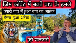 Tiger Kills Old Man in Jim Corbett | Tiger Attacked in Jim Corbett |Human Animal Conflict kiyari