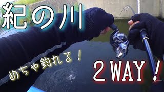 【紀の川】2WAYで壁の影に潜むバスを狙う！