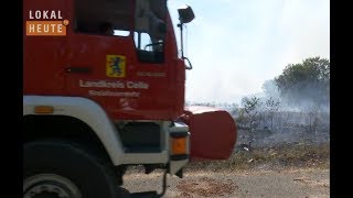 Großeinsatz bei Flächenbrand in Scharnhorst (CHTV/LHTV)