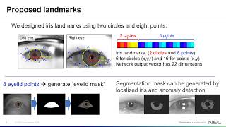 Segmentation-free Direct Iris Localization Networks