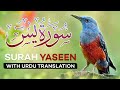 SURAH YASEEN ||SURAH YASEEN WITH URDU TRANSLATION |YASEEN |@tilawatequran9118