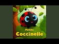 Petite coccinelle