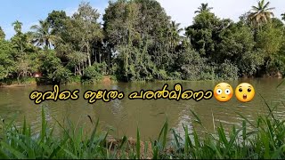 പൂവാലിപരലിൻ്റ ചാകര | പോൾറോഡിൽ പരല് പിടുത്തം | Kerala fishing