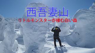 西吾妻山　- スノーモンスターが棲む白い森をスノーシューで遊ぼう