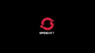 Using GitHub Webhooks on your local machine