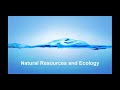 NRE - Energy in Ecosystems