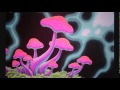 Flegma - Live Set - Universo Paralello 2014