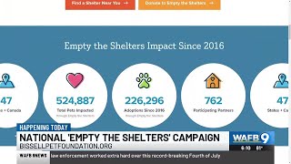 Reduced-fee adoptions available at select shelters during ‘Empty the Shelter’ campaign