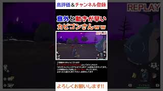 意外と動きが速いカビゴンさんｗｗｗ【Pokémon LEGENDS アルセウス】【寝顔ハンター】