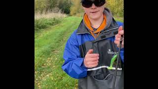 Pike fishing on the river Bain