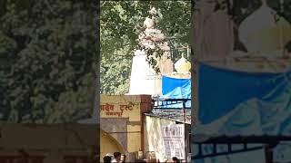 बाणेश्वर मंदिर #music #history #travel #baneshwar #pune #shorts #devotional #shiva #temple #forest