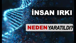 İnsan Irkı Neden Yaratıldı?