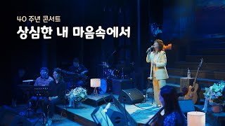 손영진 - 상심한 내 마음속에서 (40주년 콘서트)