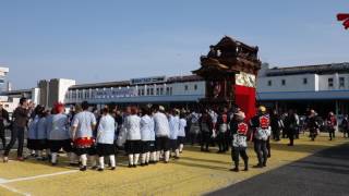 旧常滑地区祭礼2017（日） 瀬木字 世楽車 MAH03029市役所入り２　と　市場字　常盤車　市役所入り