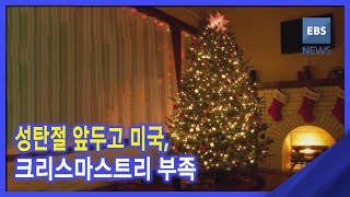 2021. 12. 22. [뉴스G] 성탄절 앞두고 미국, 크리스마스트리 부족